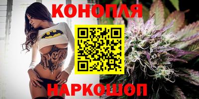 крисы Кунгур