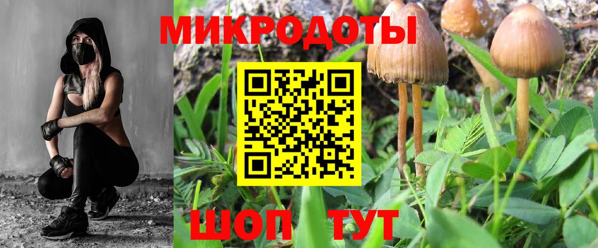 Заводоуковск  Галлюциногенные грибы Psilocybine cubensis  Псилоцибиновые грибы ЛСД  Вход с VPN 