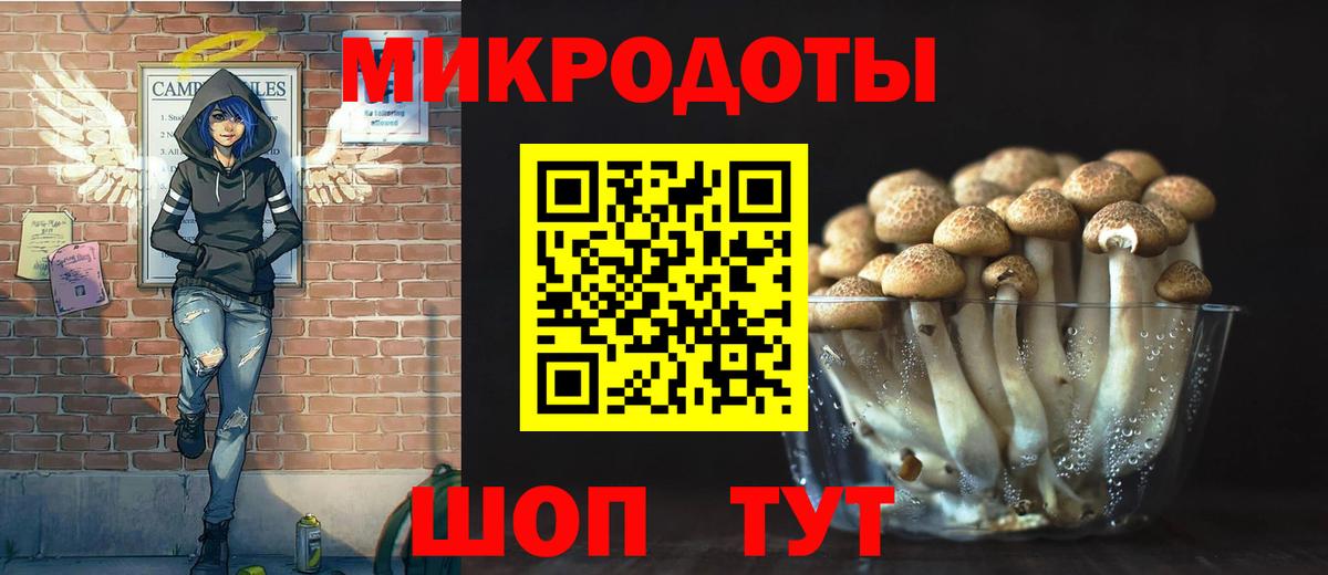 Галлюциногенные грибы Cubensis Заводоуковск